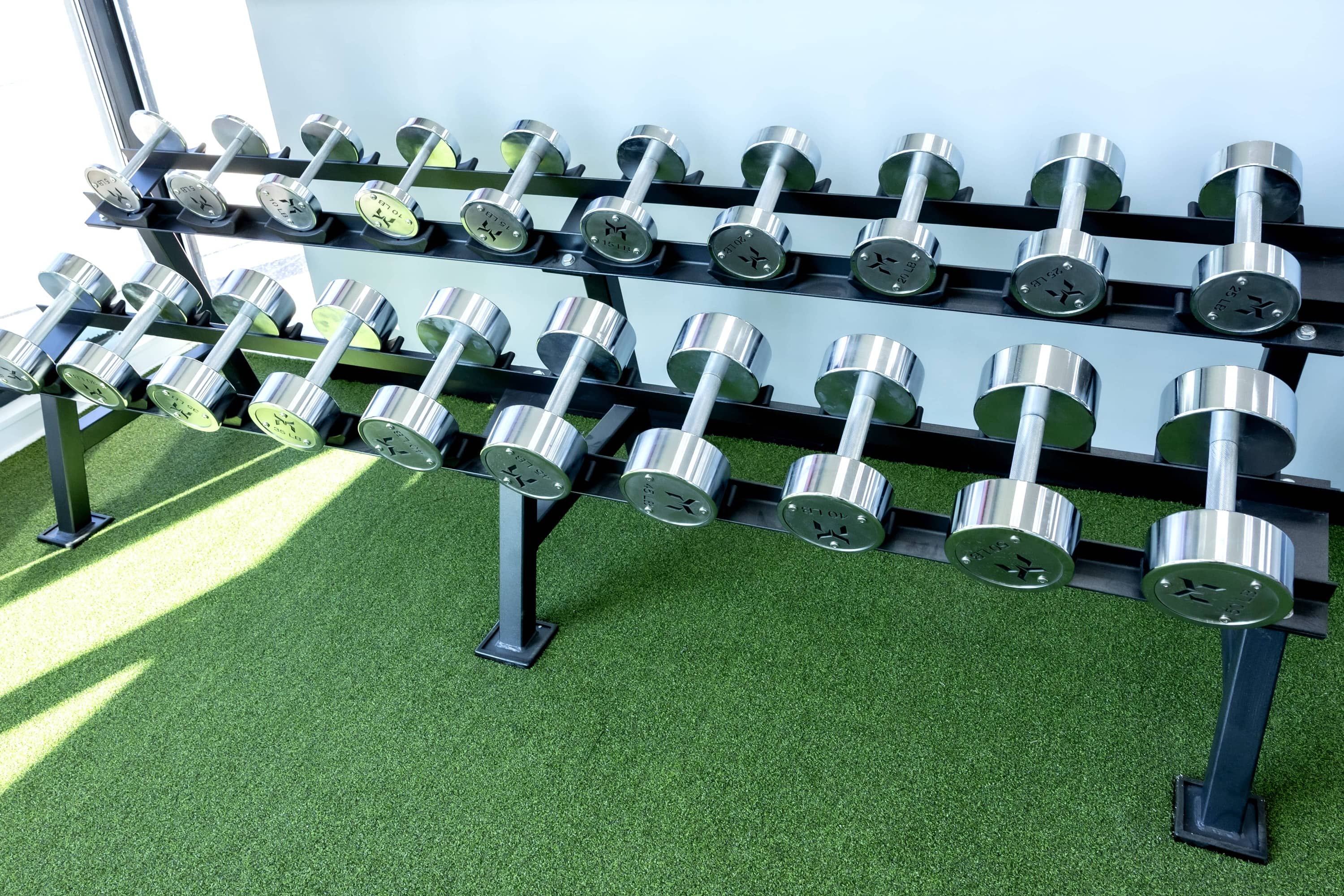Free weights and exercise equipment at Dynamic Physical Therapy Hicksville